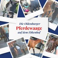 Ebkenhof Pferdewaage ausreiten Pensionsstall Westerstede Ihorst Reitstall Pferdestall