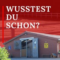 Ebkenhof ausreiten Pensionsstall Westerstede Ihorst Reitstall Pferdestall