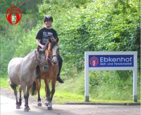 Ebkenhof ausreiten Pensionsstall Westerstede Ihorst Reitstall Pferdestall